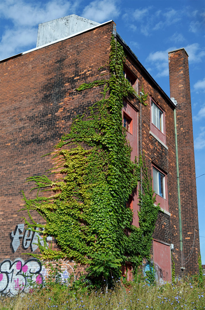 Detroit apartment growth